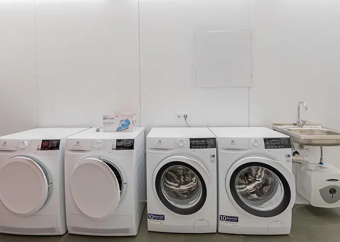 Dandelion Brivibas Ρίγα